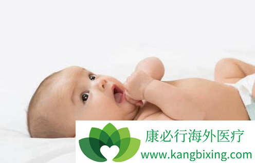 专家